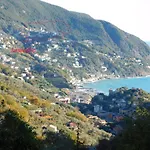 Quinto Canto