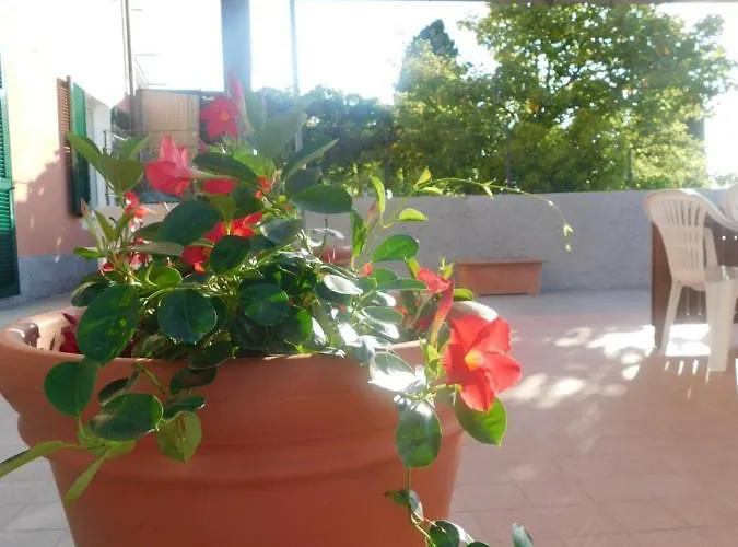 Quinto Canto Nyaraló *